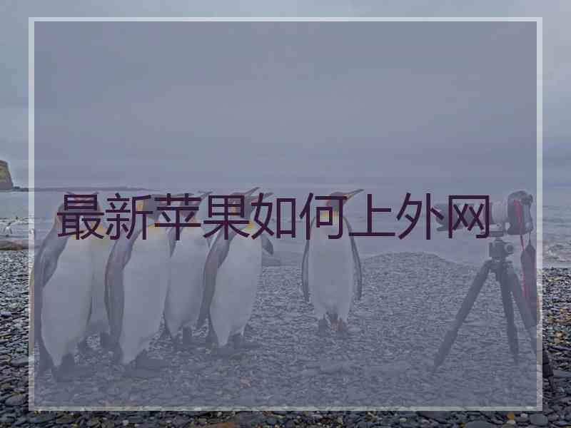 最新苹果如何上外网 最新苹果如何上外网