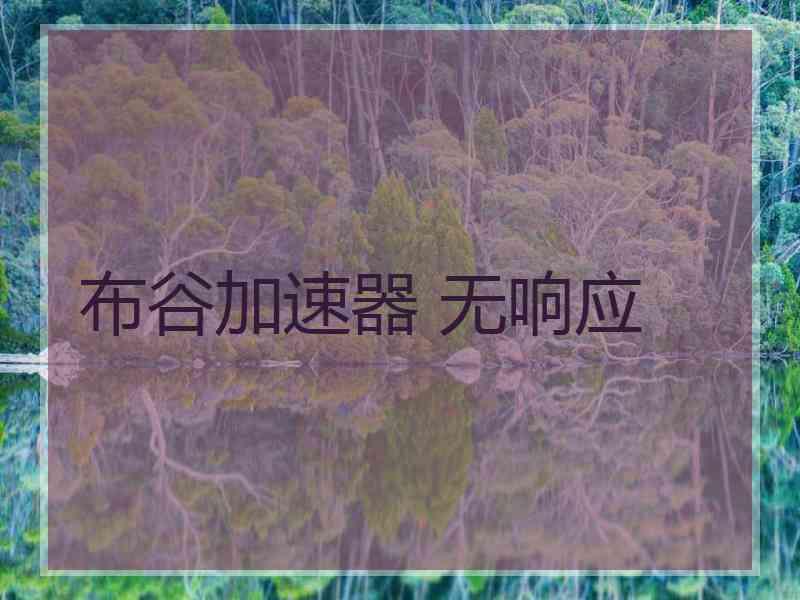 布谷加速器 无响应 布谷加速器 无响应