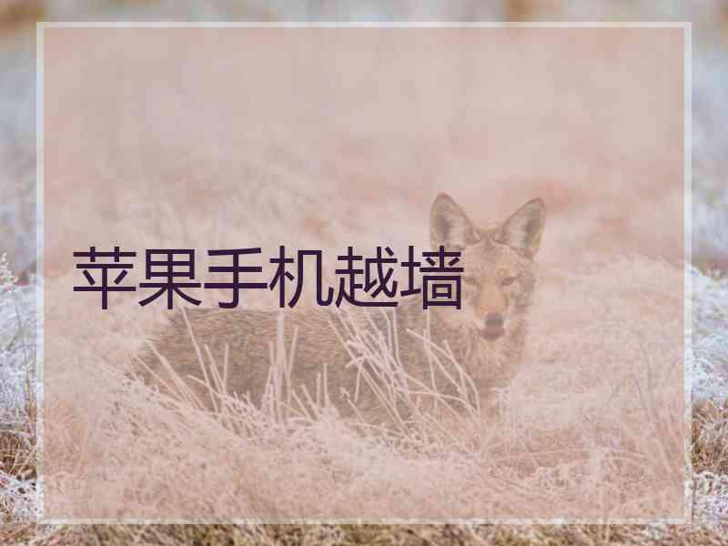 苹果手机越墙 苹果手机越墙