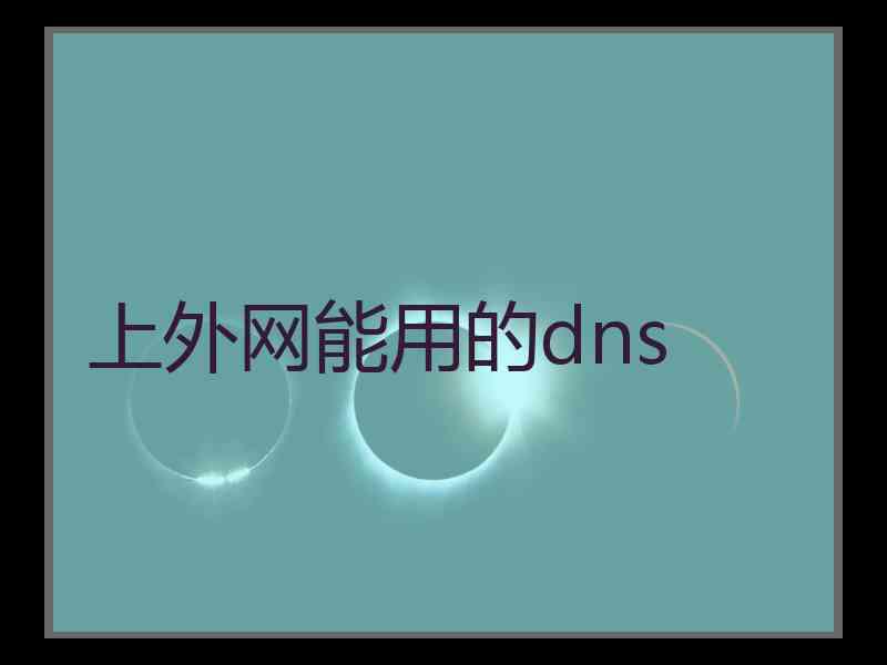 上外网能用的dns