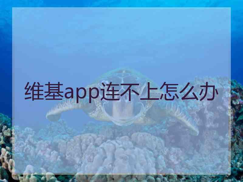 维基app连不上怎么办