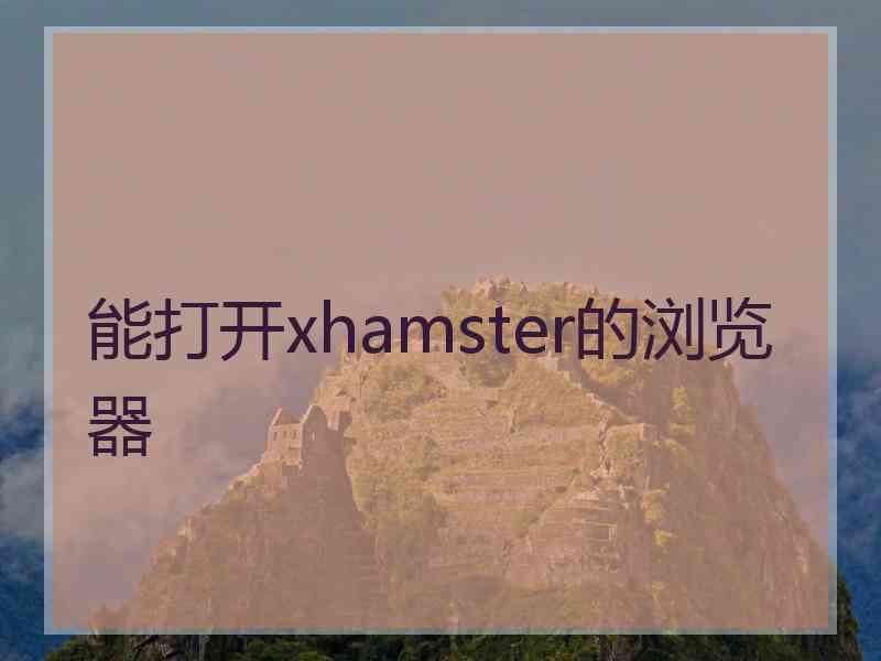 能打开xhamster的浏览器