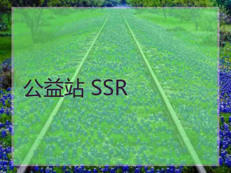 公益站 SSR