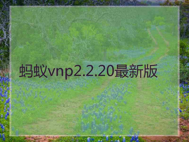 蚂蚁vnp2.2.20最新版