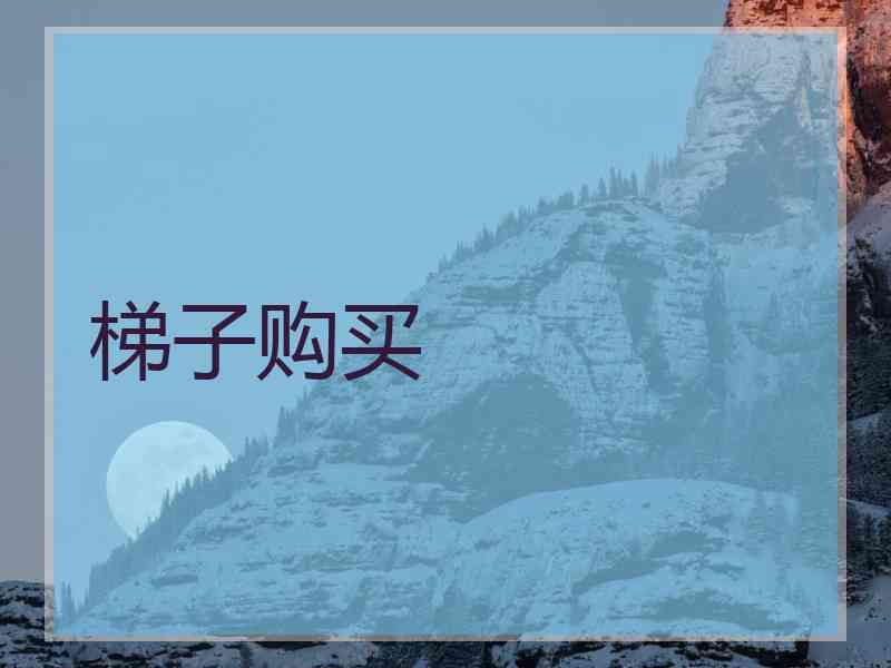 梯子购买