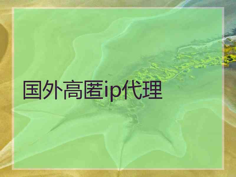 国外高匿ip代理