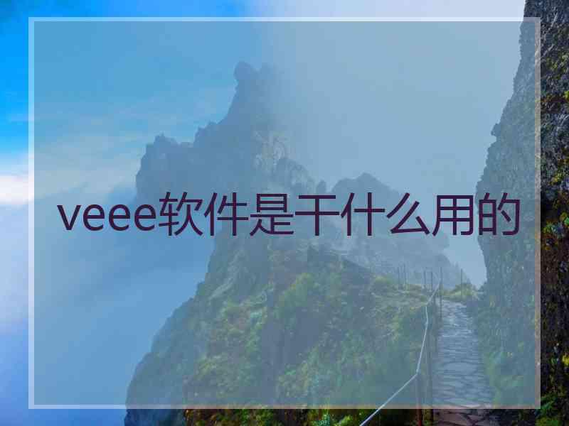 veee软件是干什么用的