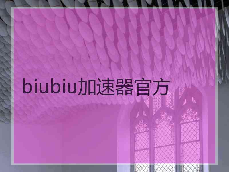 biubiu加速器官方