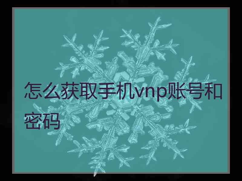 怎么获取手机vnp账号和密码