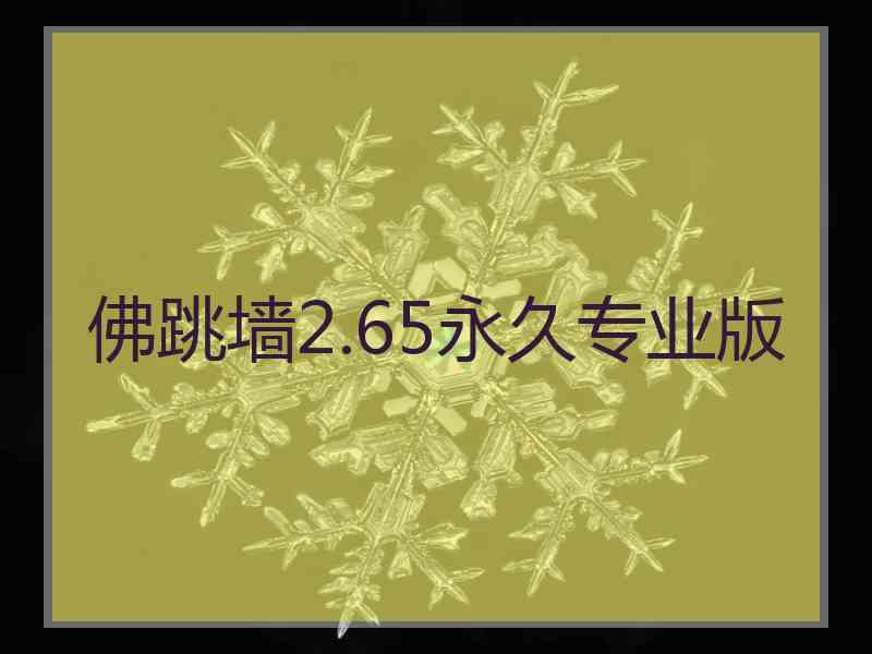 佛跳墙2.65永久专业版