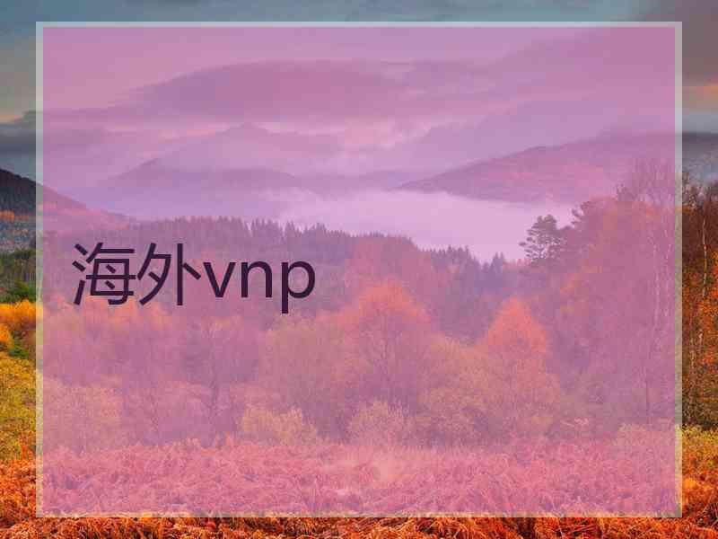 海外vnp