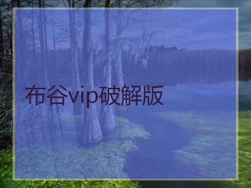 布谷vip破解版