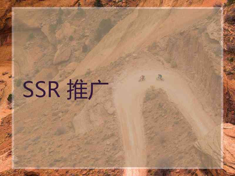 SSR 推广
