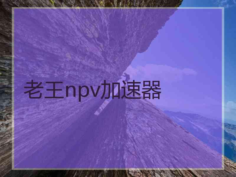 老王npv加速器