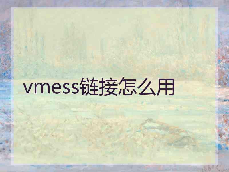 vmess链接怎么用