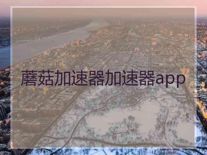 蘑菇加速器加速器app