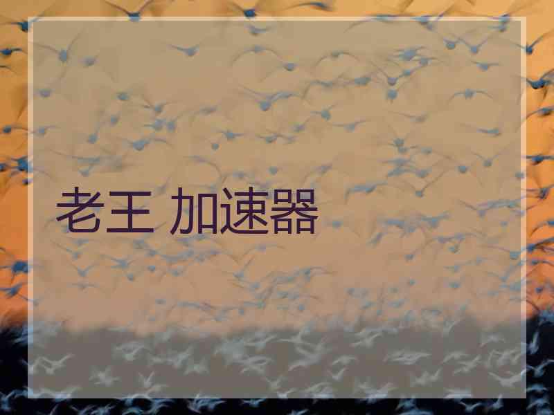 老王 加速器