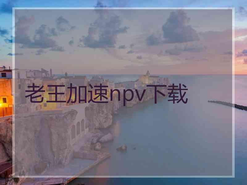 老王加速npv下载