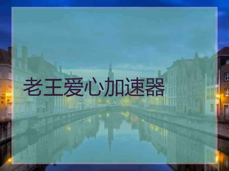 老王爱心加速器