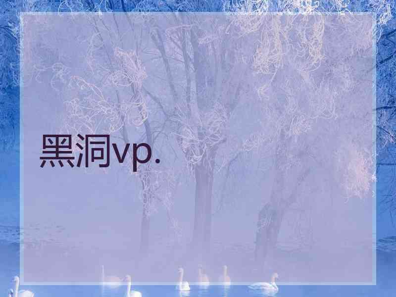 黑洞vp.