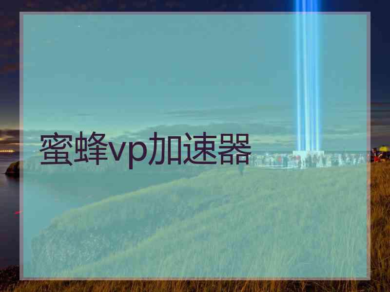 蜜蜂vp加速器