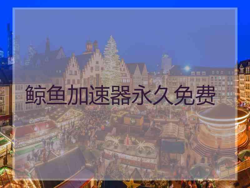 鲸鱼加速器永久免费