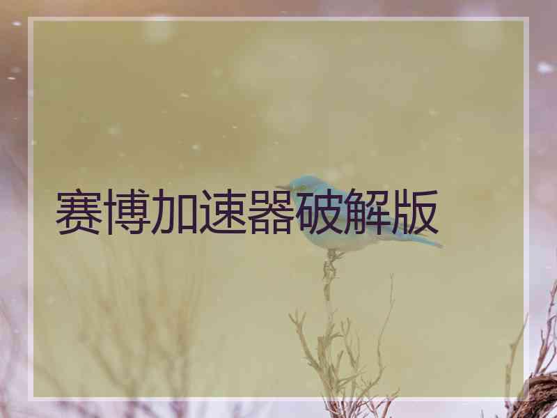 赛博加速器破解版