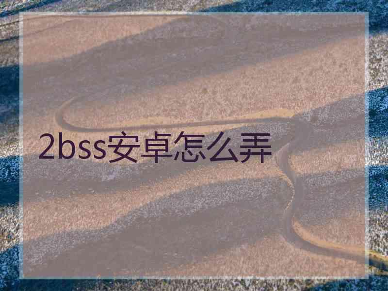 2bss安卓怎么弄