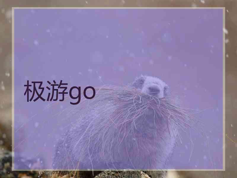 极游go