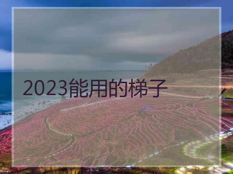 2023能用的梯子